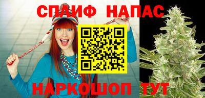 амф Нальчик