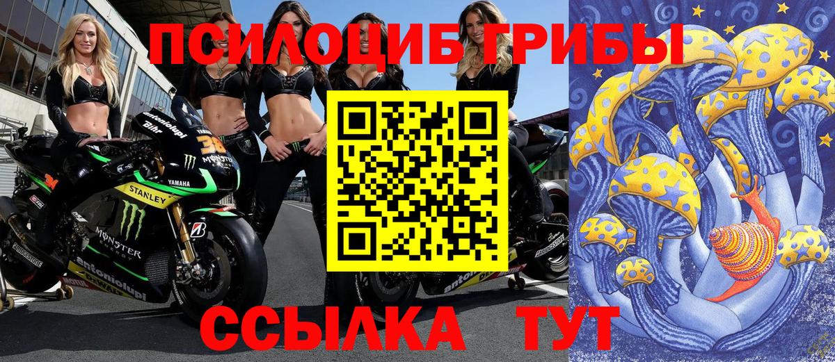 Галлюциногенные грибы Magic Shrooms Тимашёвск