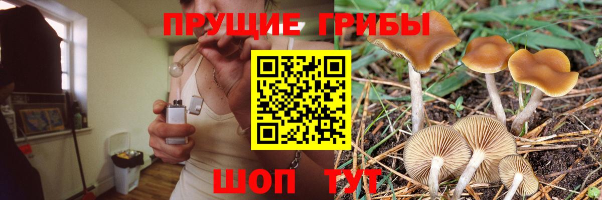 Тимашёвск  Псилоцибиновые грибы прущие грибы  Вход с VPN 